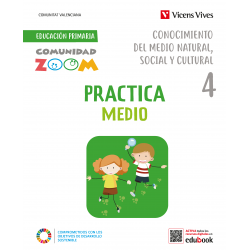 Practica Conocimiento del Medio Natural Social y cultura 4. Valencia (Comunidad Zoom)