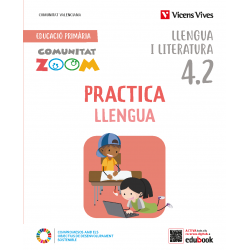 Practica Llengua 4 Activitats C. Valenciana (4.1-4.2-4.3) (Comunitat Zoom)