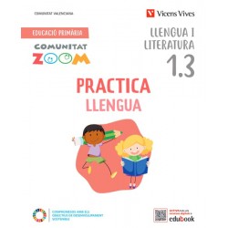 Practica Llengua 1 Activitats C. Valenciana (1.1-1.2-1.3) (Comunitat Zoom)