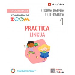 Practicalingua 1 Actividades. Lingua galega (Comunidade Zoom)