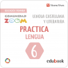 Practica Lengua 6 Comunidad Zoom (Edubook Digital)