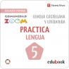 Practica Lengua 5 Comunidad Zoom (Edubook Digital)