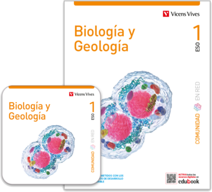 Libros el proyecto en Red